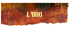 L'800